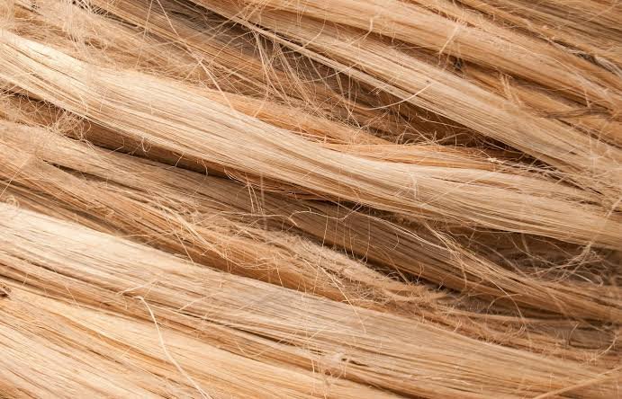 banana tree fiber